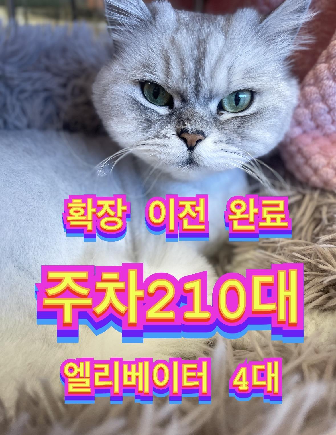 고양이 친구