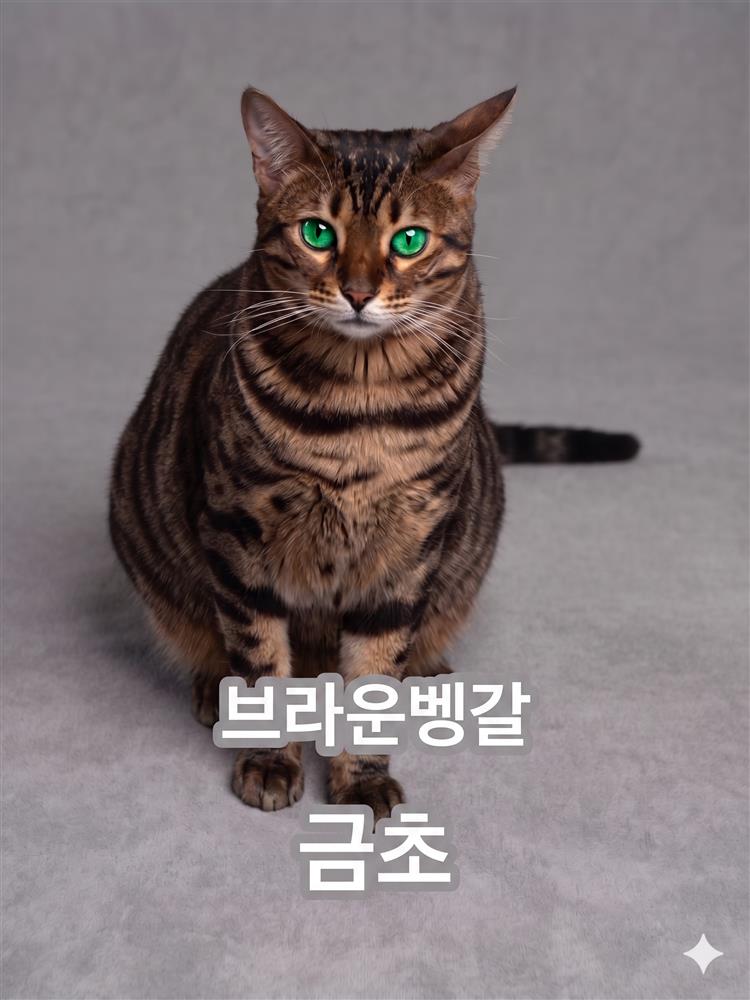 금초