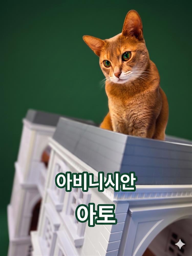아토