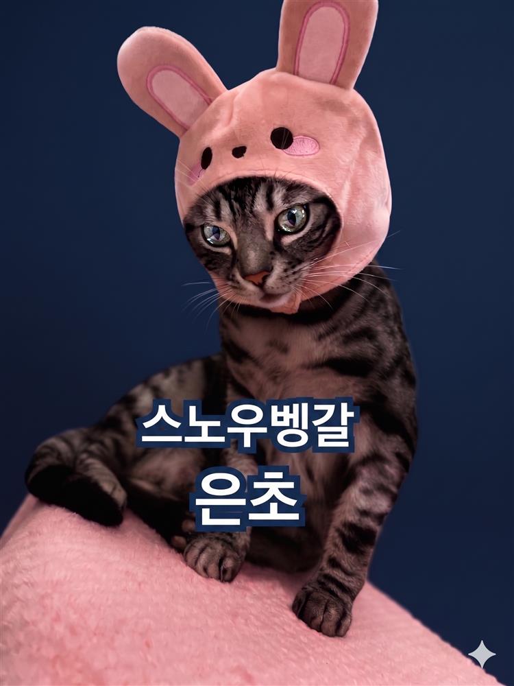 은초