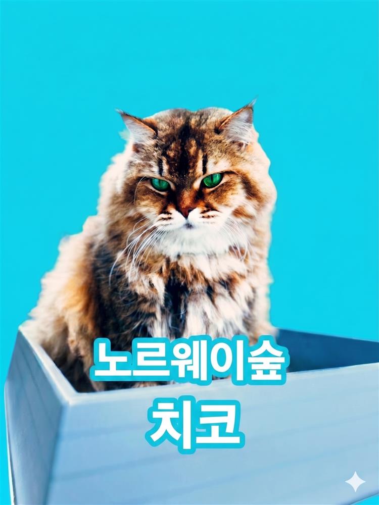 치코