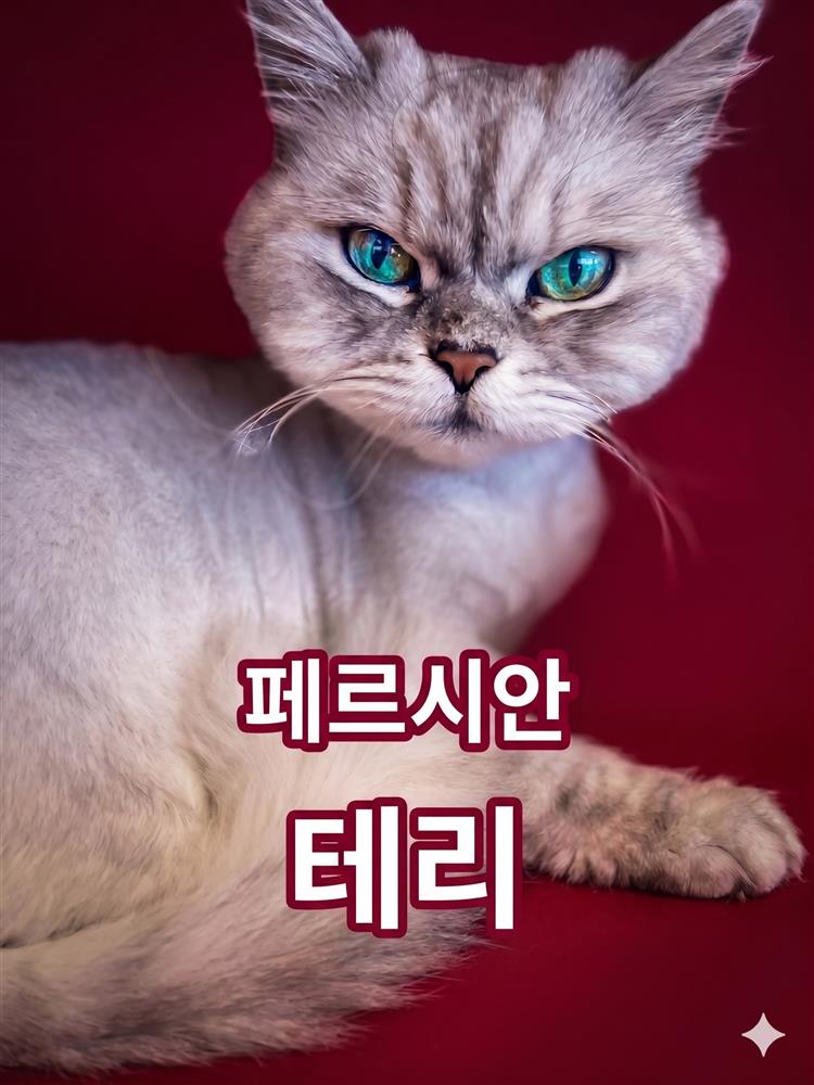 테리